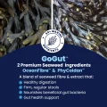 GoGut - 2 Seaweed extracts