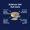 GoGut - Science LED