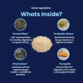 GoGut - Whats inside