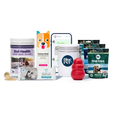 GoGut™ Powder Wellness Plan