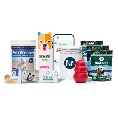 GoMax™ Powder Wellness Plan