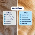 GoShine B&A (1)