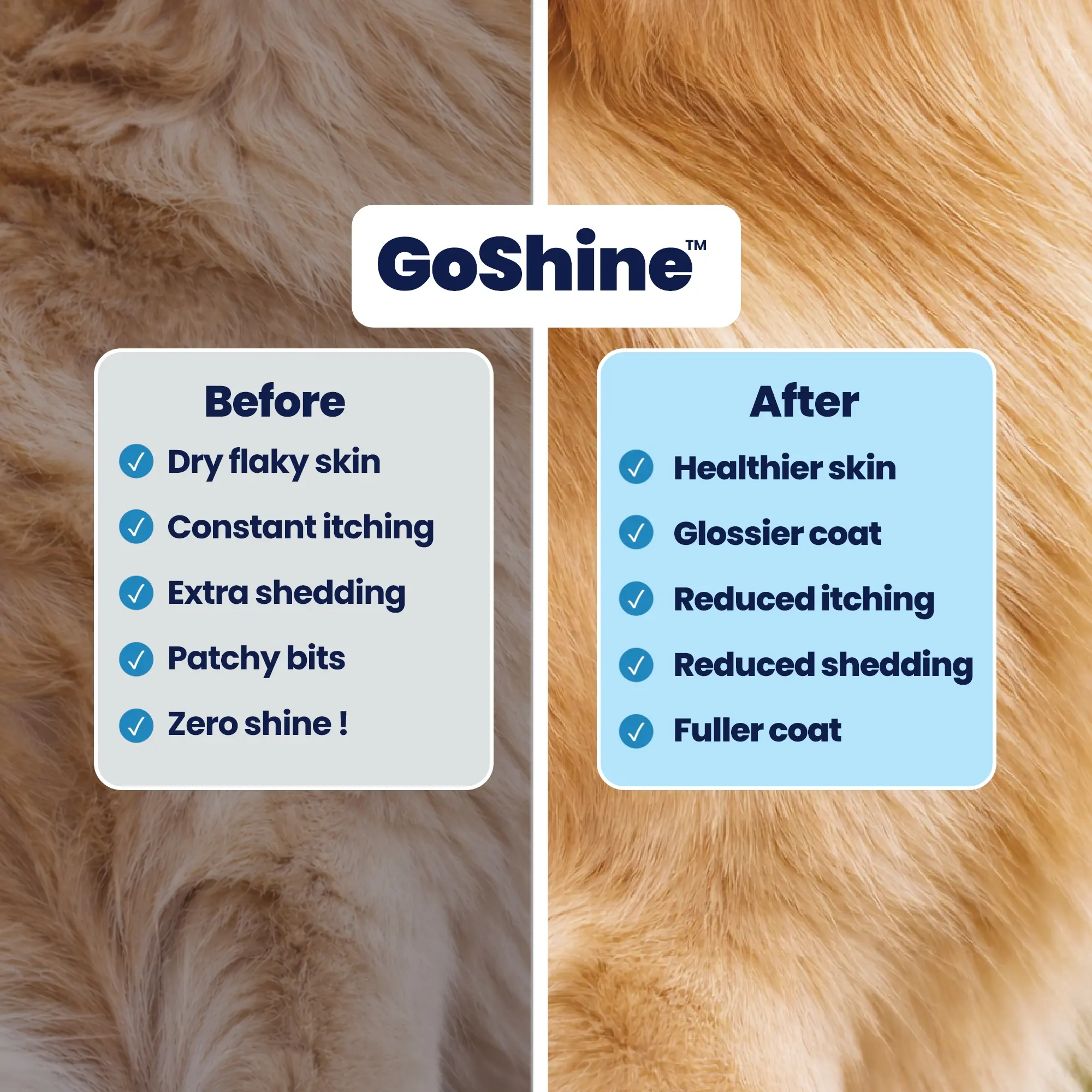 GoShine B&A (1) GoShine B&A (1)
