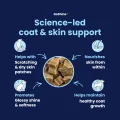 GoShine CHEWS - Science Led (3)