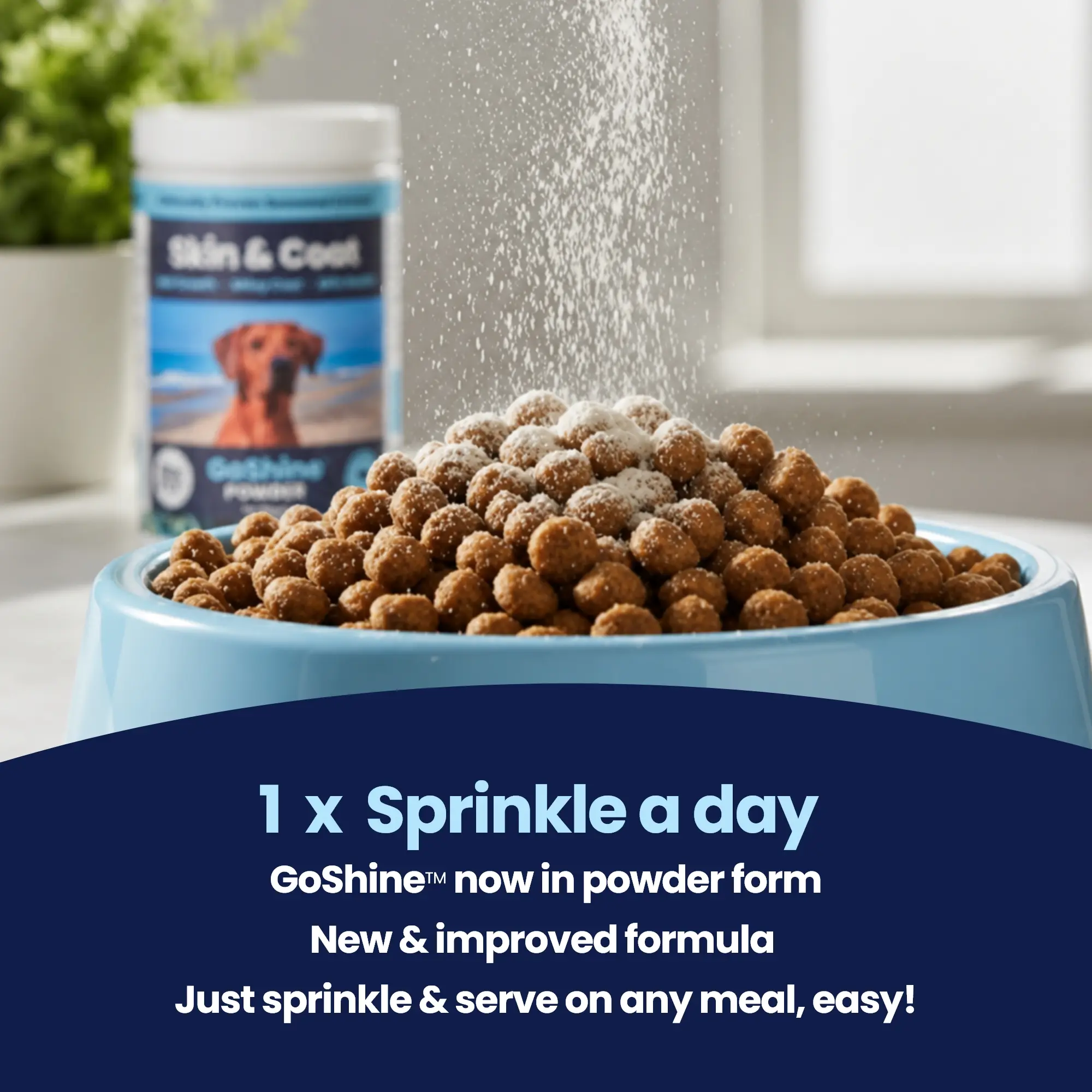 GoShine POWDER - 1 Sprinkle a Day (1) GoShine POWDER - 1 Sprinkle a Day (1)