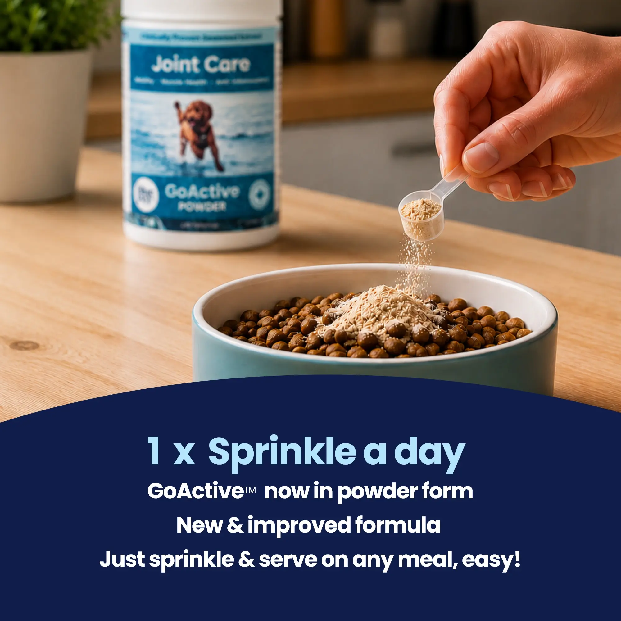 GoShine POWDER - 1 Sprinkle a Day – 1 GoShine POWDER - 1 Sprinkle a Day – 1