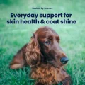GoShine Powder Wellness Plan