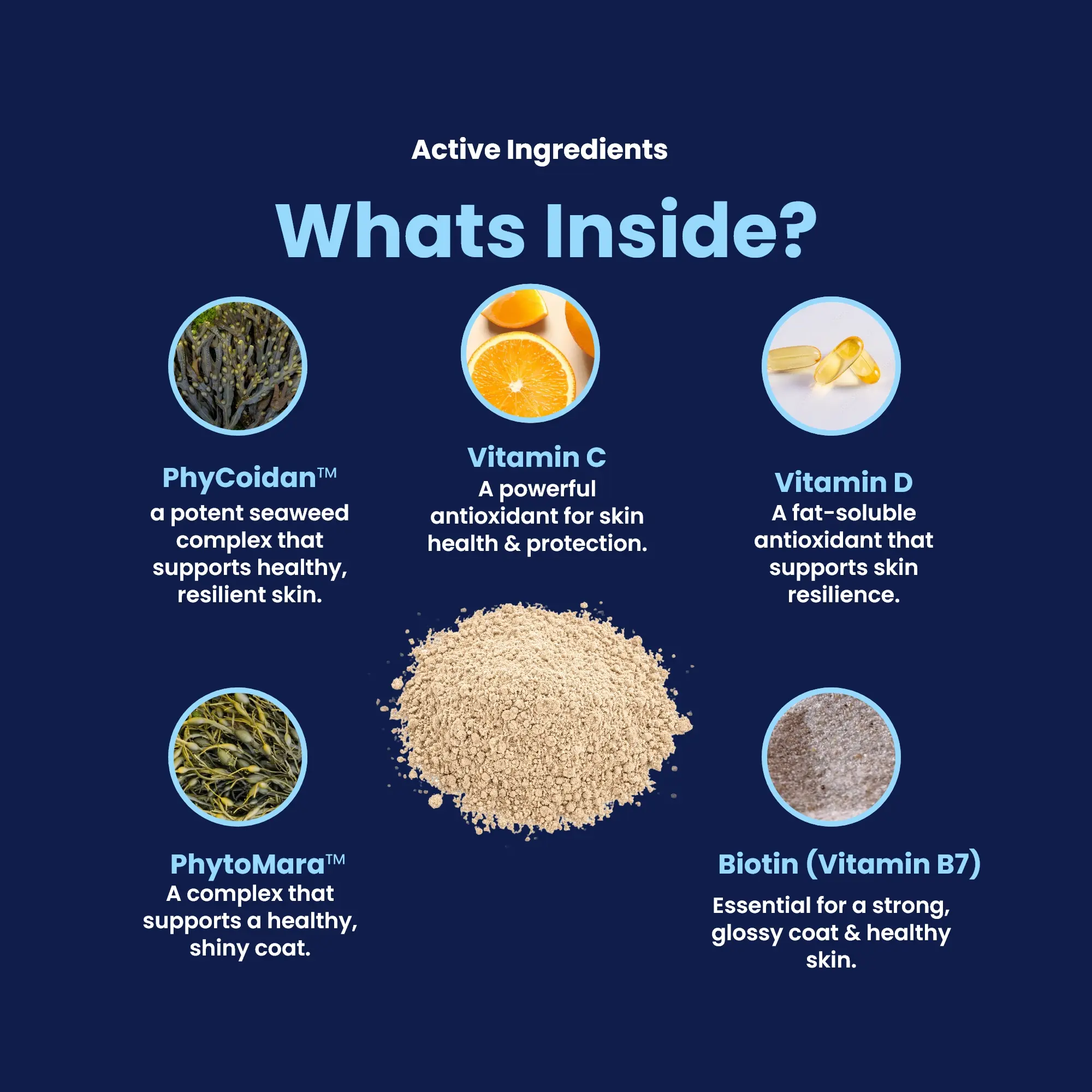 GoShine POWDER - Whats Inside (1) GoShine POWDER - Whats Inside (1)