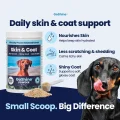 GoShine POWDER img1