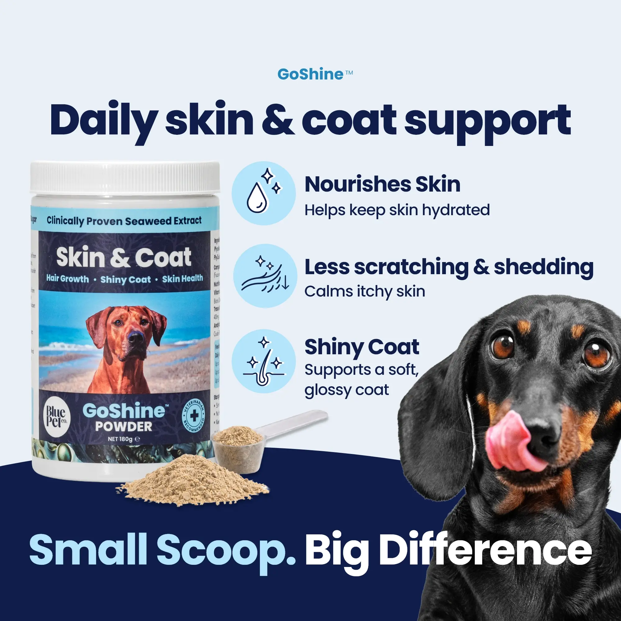 GoShine POWDER img1 GoShine POWDER img1