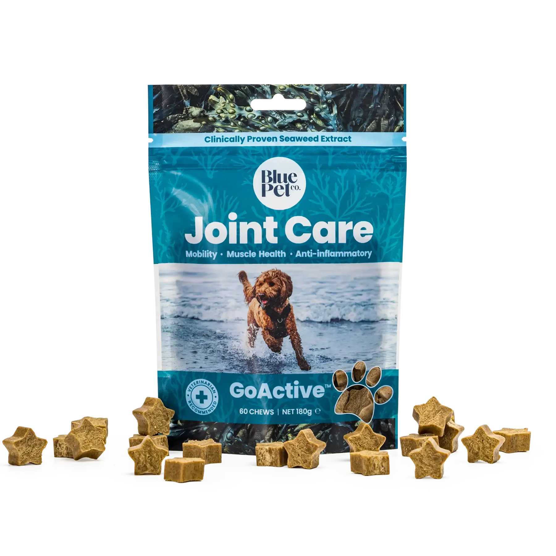 BPC GoActive - 60 chew Pouch + Chews