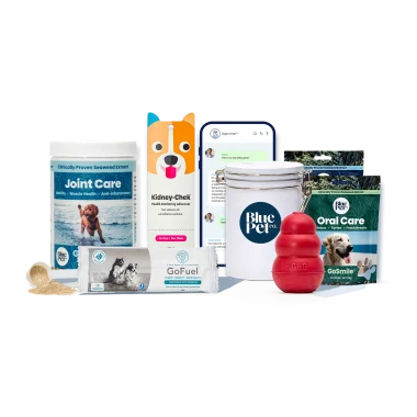 GoActive™ Powder Wellness Plan