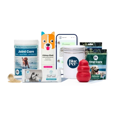 GoActive™ Powder Wellness Plan