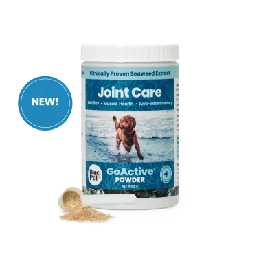 GoActive™ Powder