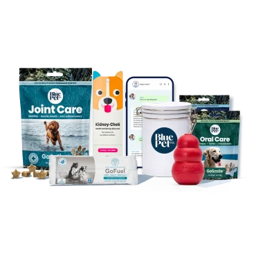 GoActive™ Wellness Plan