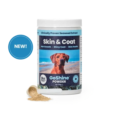 GoShine™ Powder