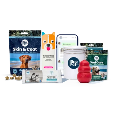 GoShine™ Wellness Plan