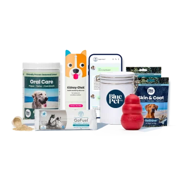 GoSmile™ Powder Wellness Plan