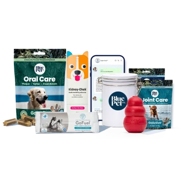 GoSmile™ Wellness Plan