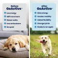 GoActive B&A – 3