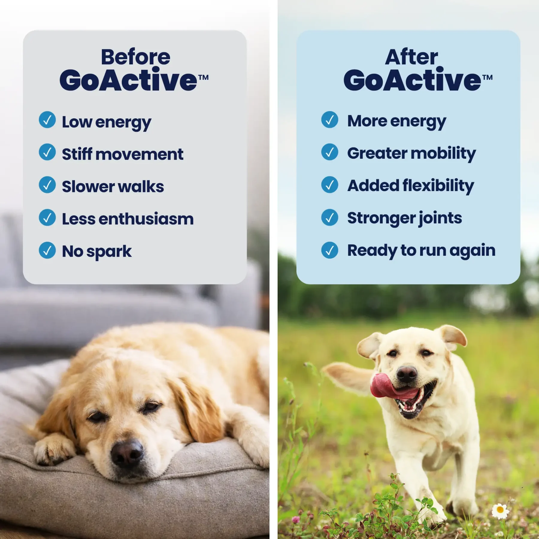 GoActive B&A – 3 GoActive B&A – 3