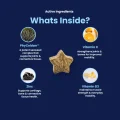 GoActive CHEW - Whats Inside