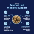 GoActive CHEWS - Science Led