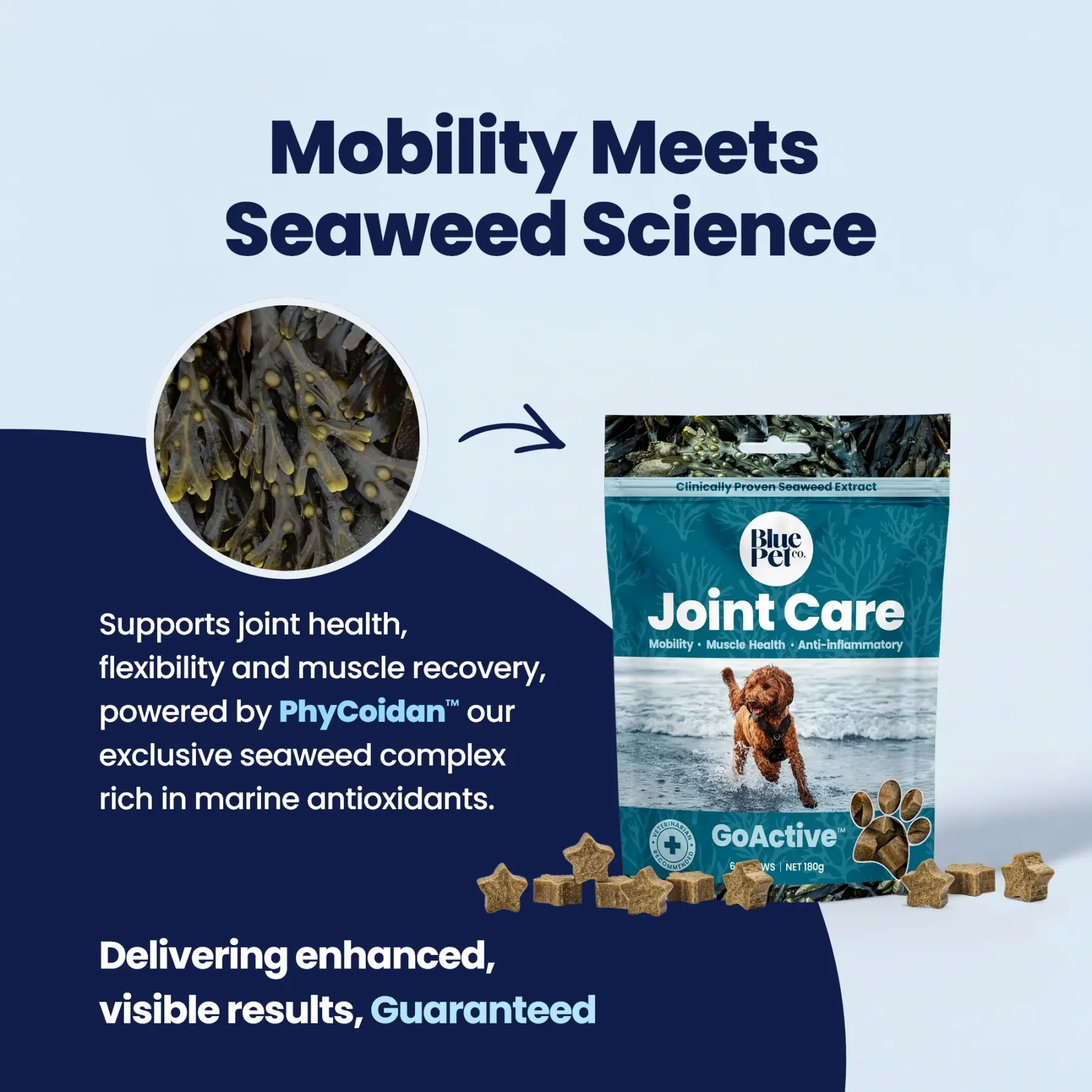 GoActive CHEWS - Seaweeds GoActive CHEWS - Seaweeds
