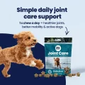 GoActive CHEWS img1