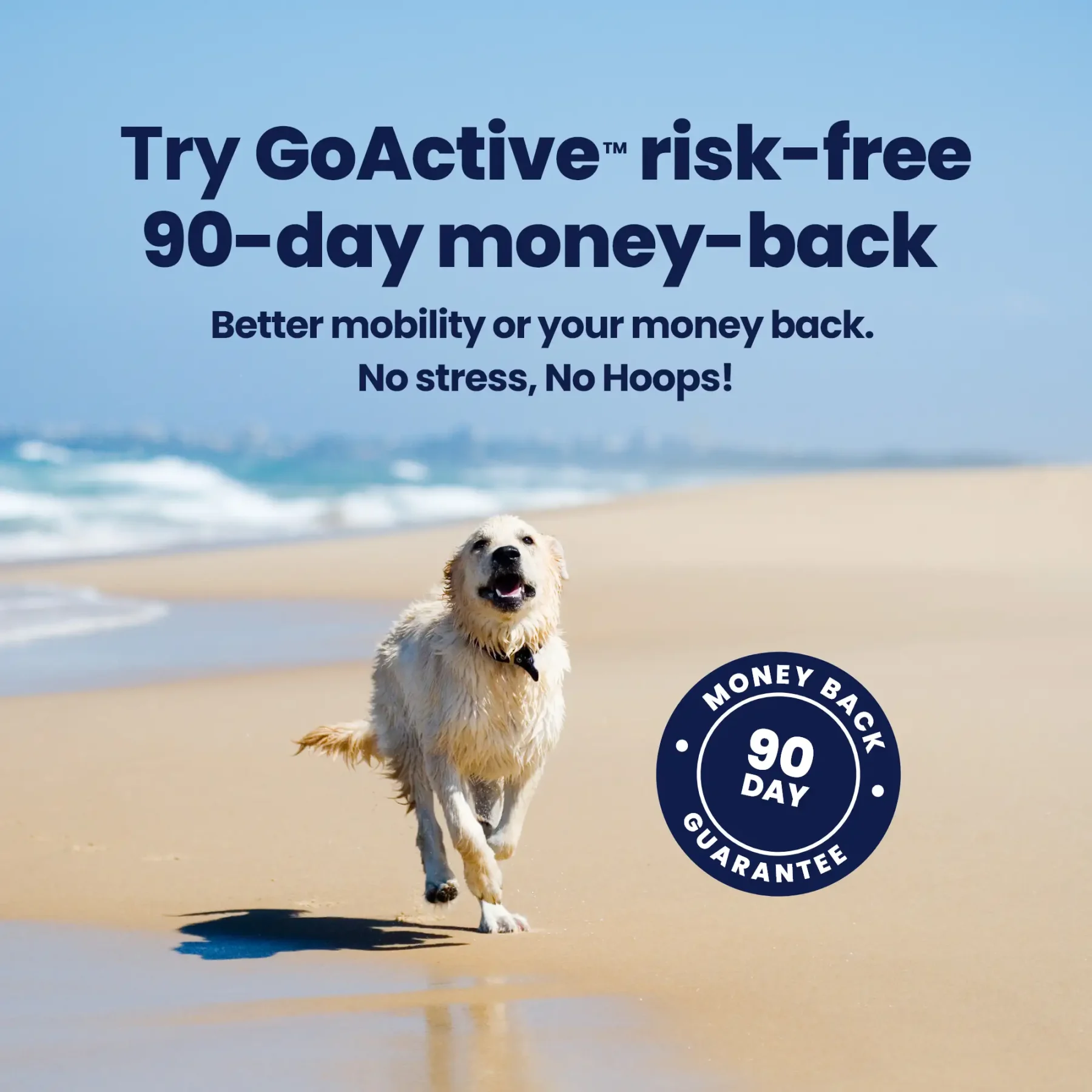 GoActive Guarantee – 3 GoActive Guarantee – 3