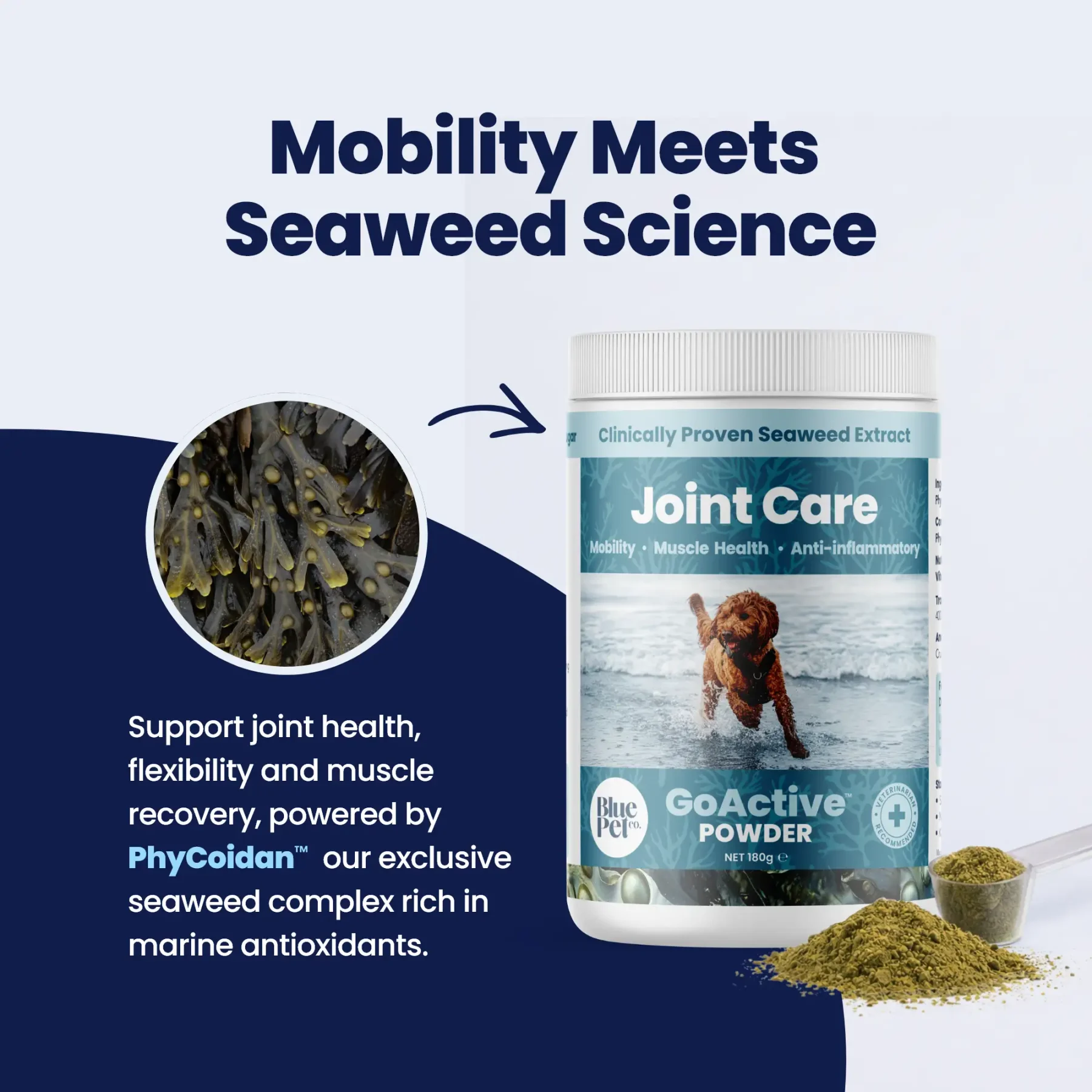 GoActive POWDER - 1 Seaweed GoActive POWDER - 1 Seaweed
