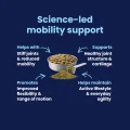 GoActive POWDER - Science Led