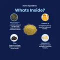 GoActive POWDER - Whats Inside – 3