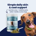 GoActive POWDER img1