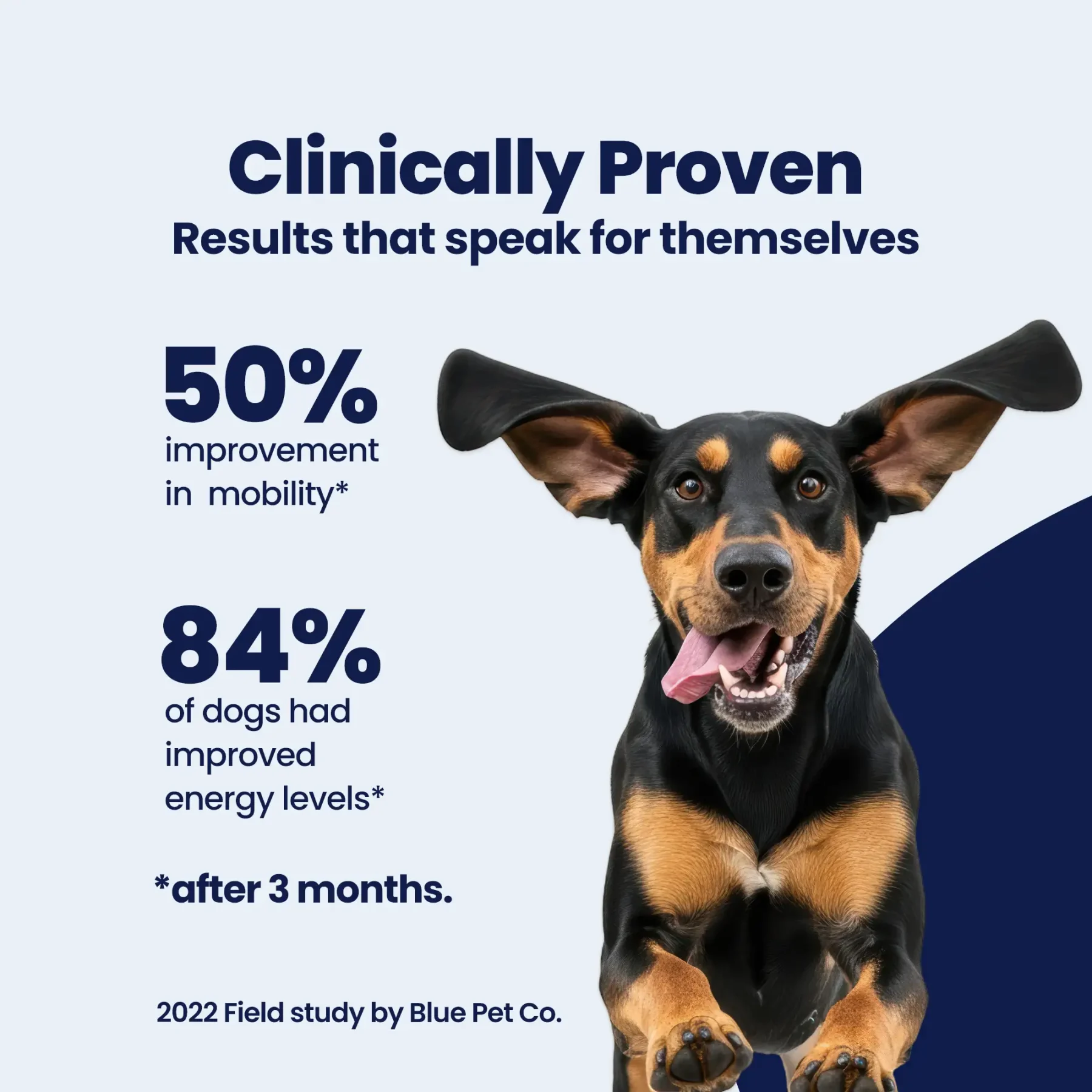 GoActive Proof – 3 GoActive Proof – 3