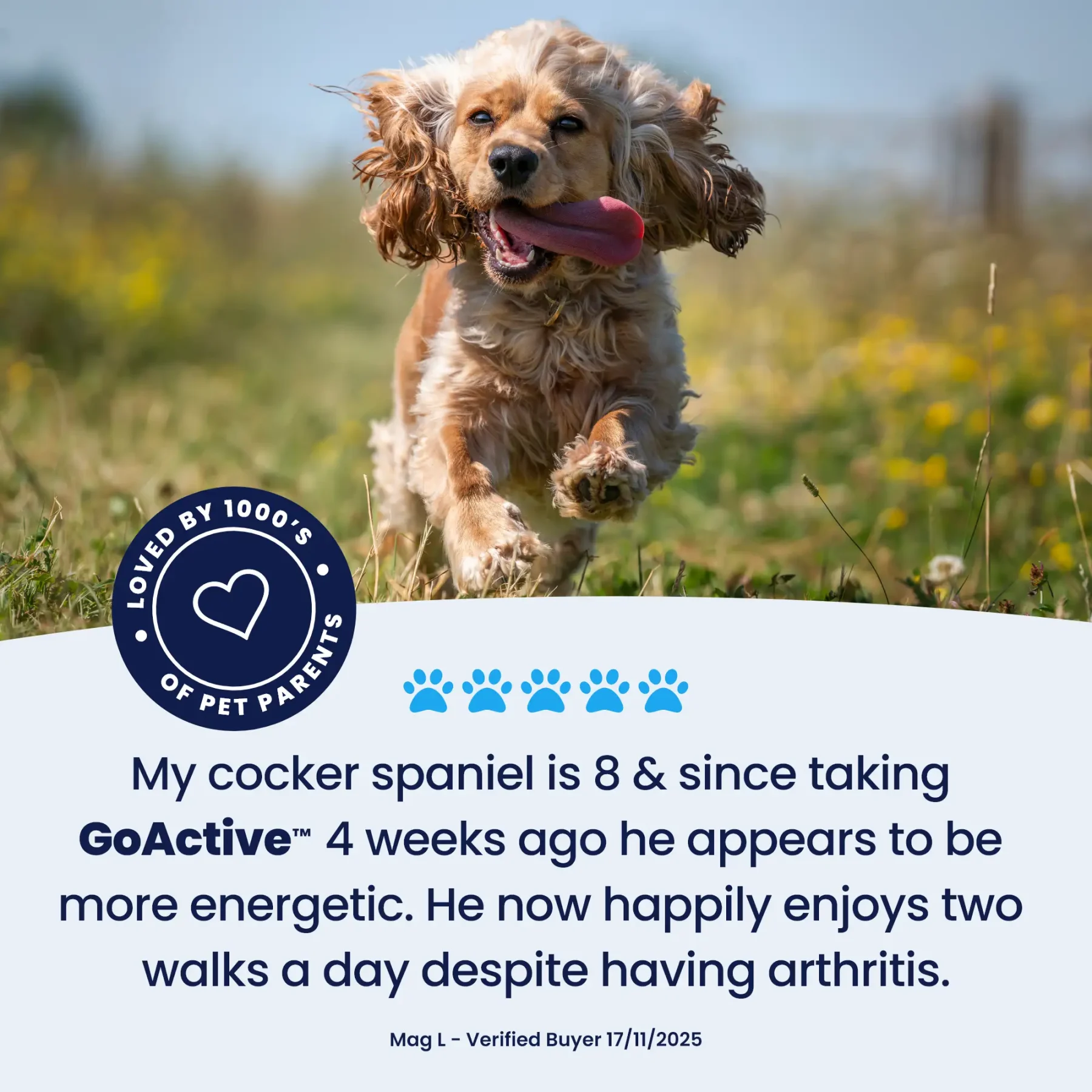 GoActive Testimonial – 3 GoActive Testimonial – 3
