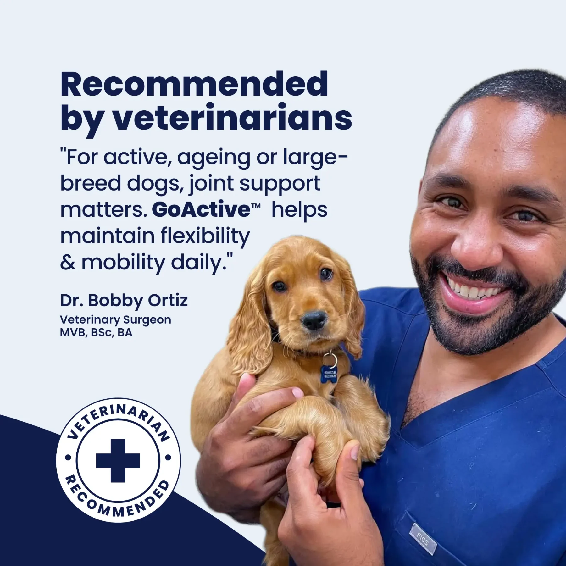 GoActive Vet – 3 GoActive Vet – 3