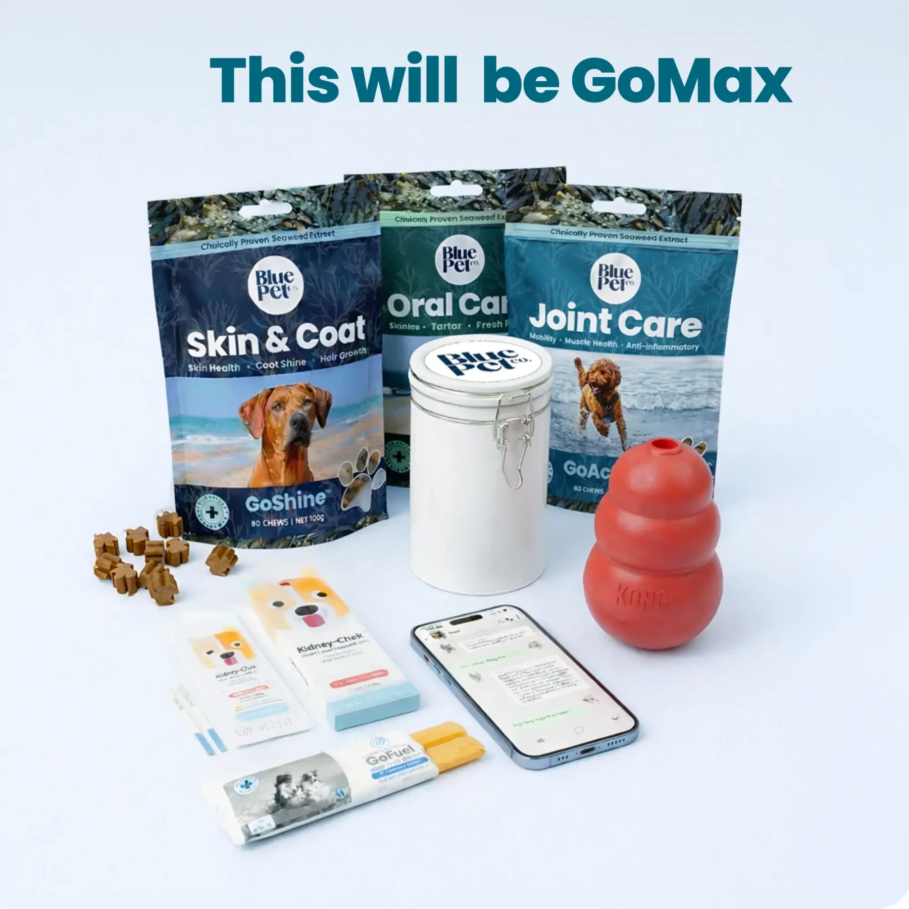 GoActive Wellness Plan - Main – 5