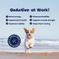 GoActive at work – 3