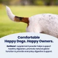 GoGland - Happy Dogs