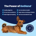GoGland - Power of