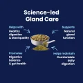 GoGland - Science LED