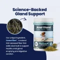 GoGland - Seaweed 1