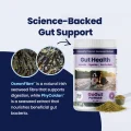 GoGland - Seaweed Extract