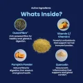 GoGland - Whats inside