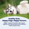 GoGut - Happy Dogs