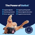 GoGut - Power of