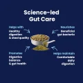 GoGut - Science LED