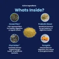 GoGut - Whats inside
