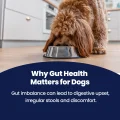 GoGut - why it matters